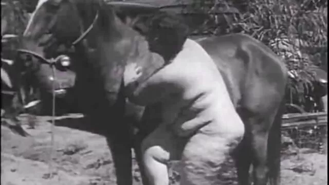 Amante scopata bionda matura in video sesso anziani gratis tutti i buchi sul tavolo del ristorante